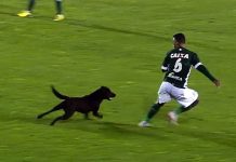 Hélio Torres: Uh! É Ruralzão