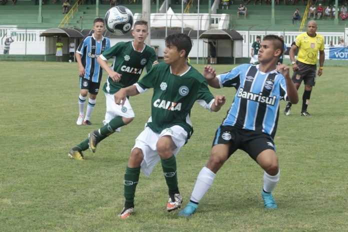 goias 1 x 1 gremio ft 3 sub 15