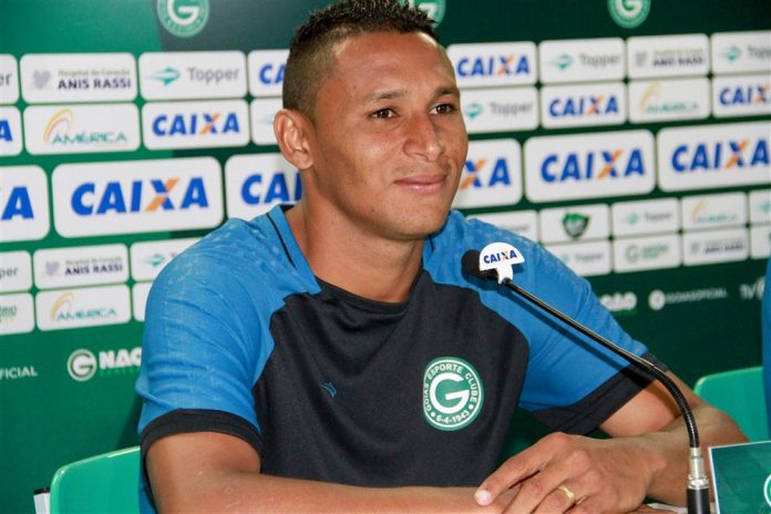 pedro bambu