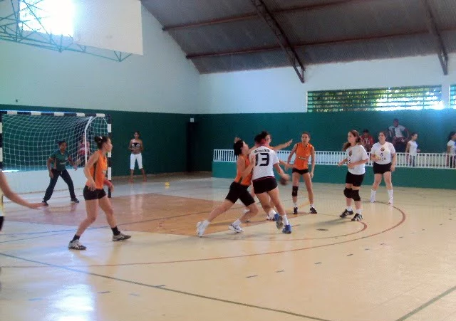 liga goiana de handebol goiano
