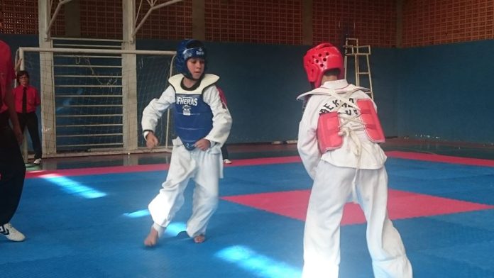 goiano taekwondo etapa