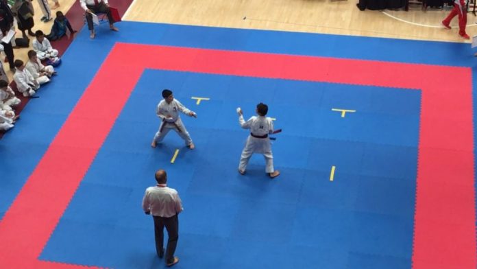 karate goianos