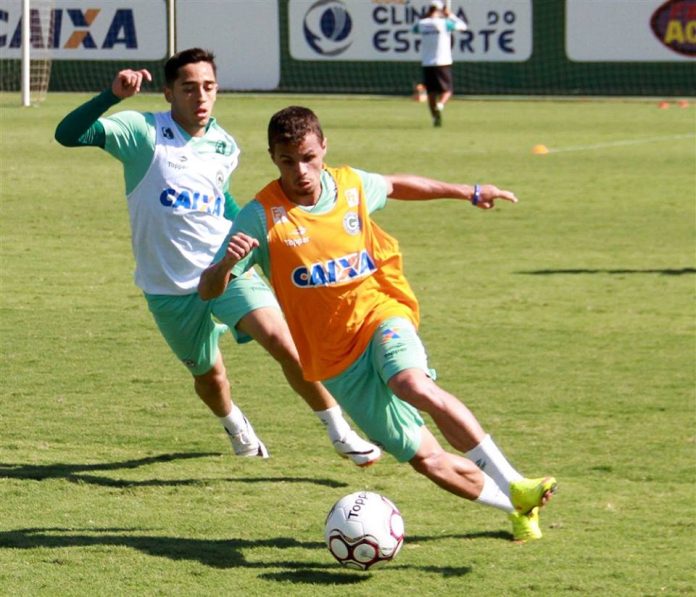 michael goias