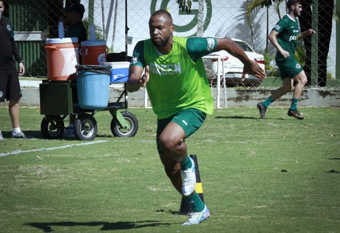 reynaldo goiás