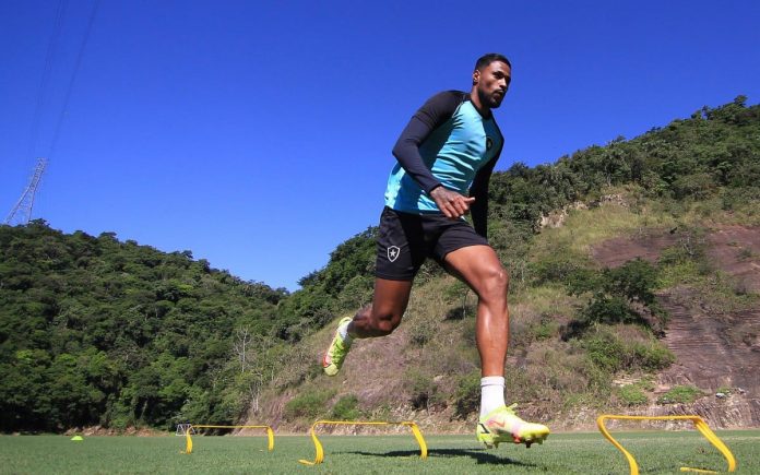 diego gonçalves botafogo