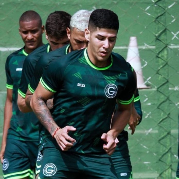 RAUL LOZANO GOIÁS