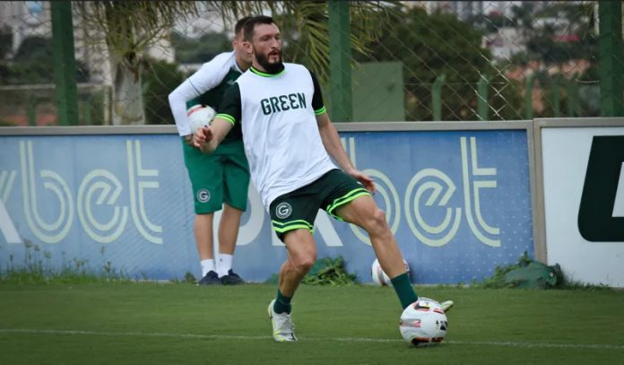 sander-goiás