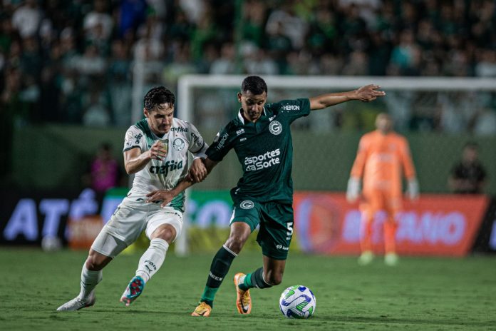 Goias x Palmeiras Foto Isabela Azine (1)