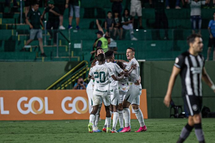 Goiás surpreende o líder Botafogo, quebra sequência e deixa o Z-4 da Série A