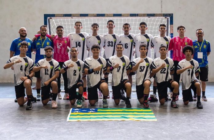 seleção goiana de handebol juvenil 2023