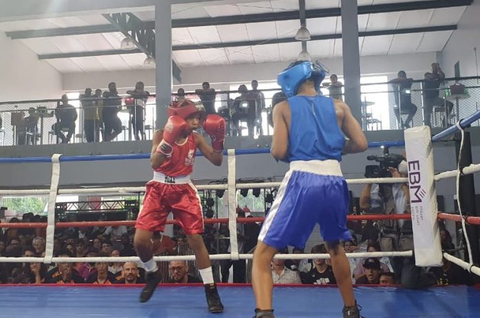 Com 25 lutas e presença de Popó, 1ª Copa Premium de Boxe chega a Goiânia Com 25 lutas e presença de Popó, 1ª Copa Premium de Boxe chega a Goiânia