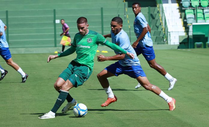 Na Serrinha e com reforços em campo, Goiás perde jogo-treino para o Grêmio Anápolis Na Serrinha e com reforços em campo, Goiás perde jogo-treino para o Grêmio Anápolis