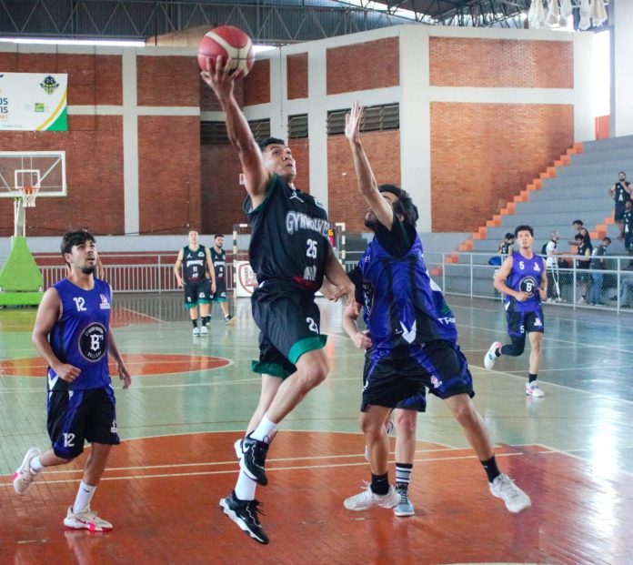 limba liga metropolitana de basqueete