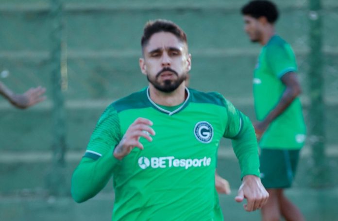 Rafael Gava Goiás