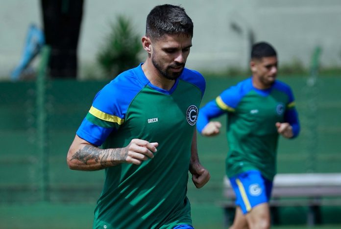 RAFAEL GAVA GOIÁS FOTO GOIAS