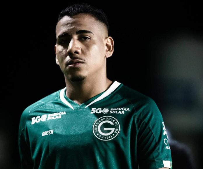 ZÉ HUGO GOIÁS FOTO ISABELA AZINE