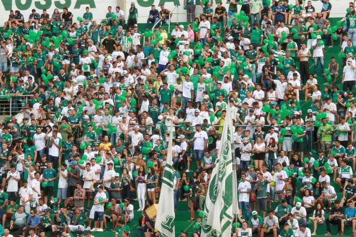 47506811842_4cccbe371c_k foto da torcida do goiás esporte clube