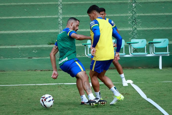 Anselmo Ramon treino goias