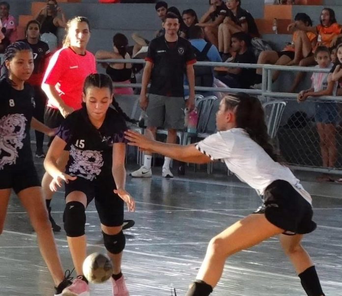 handebol 1 foto de partida de handebol