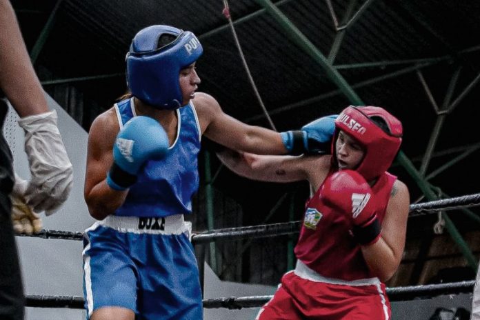 boxe febeg toanam foto de luta de boxe para ilustrar matéria do toanam