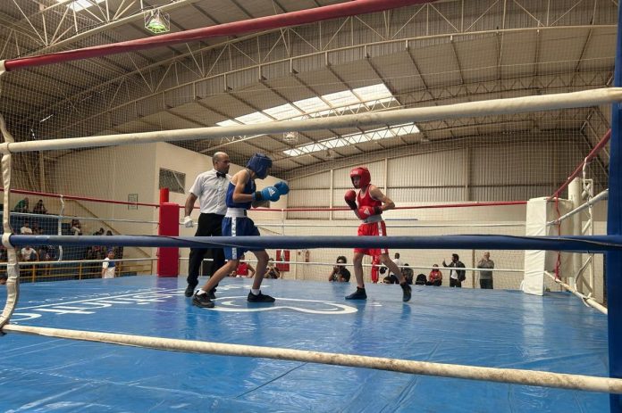 toanam 2a edicao FOTO DE LUTA DE BOXE NO TOANAM