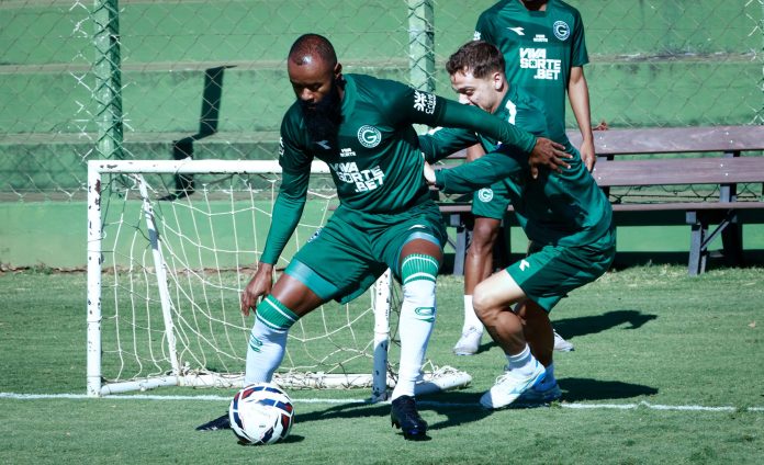 MARCÃO TREINAMENTO GOIÁS