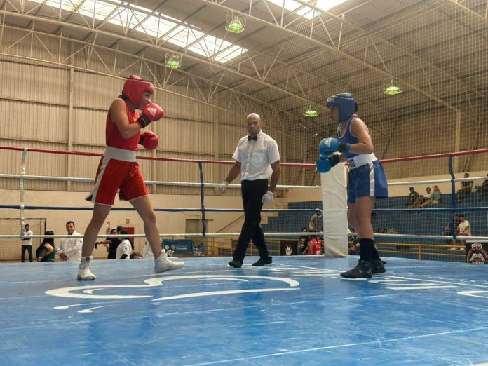 TORNEIO ANAPOLINA DE ARTES MARCIAIS FOTO REPRODUÇÃO
